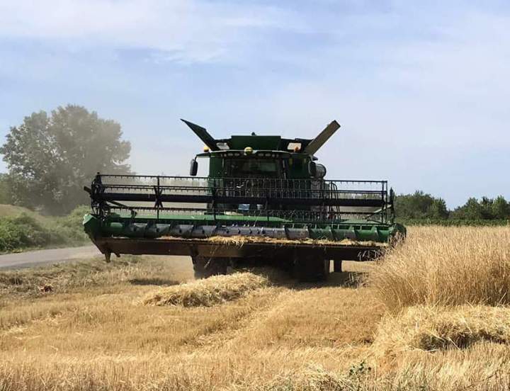 Travaux agricoles Marsillargues